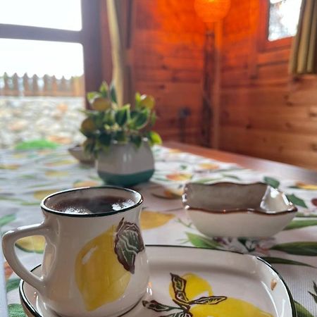 Andizalti Doga Evleri Limon Ev Datca Βίλα Εξωτερικό φωτογραφία